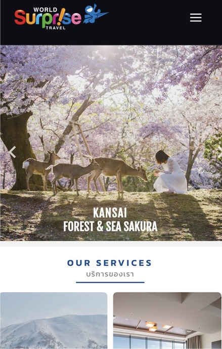 Website projects World Surprise Travel